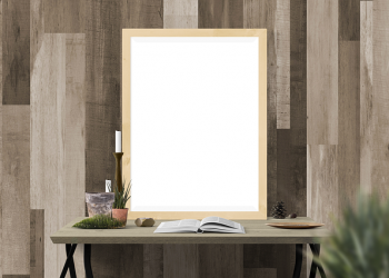 Sesgos inversor: Encuadre Estrecho