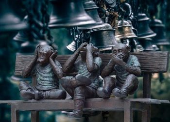 Sesgos inversor: Ruido de los Medios