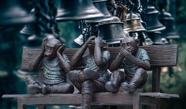 Sesgos inversor: Ruido de los Medios