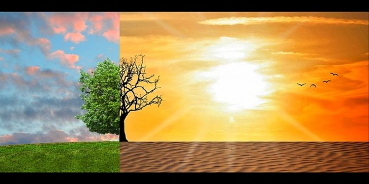 Série Investimento ESG: A letra E de Ambiente Parte 5 – O aquecimento global e as alterações climáticas