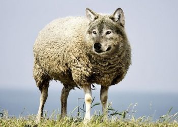 Os ciclos negativos dos mercados acionistas: Parte 2 – Os padrões das crises