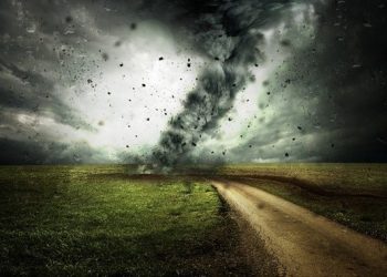 Avaliar as oportunidades e os riscos dos mercados financeiros: P1 – Os riscos