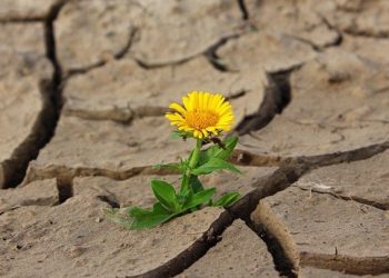 Avaliar as oportunidades e os riscos dos mercados financeiros: P2 – Os riscos (cont.)