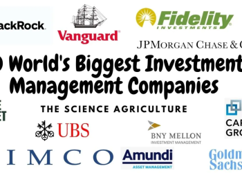 Série Escolher fundos de investimento: Parte 7 – As maiores sociedades gestoras de fundos