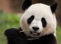 Investir em ações chinesas: O que se segue? Parte 1 – Visão geral