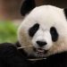 Investir em ações chinesas: O que se segue? Parte 1 – Visão geral